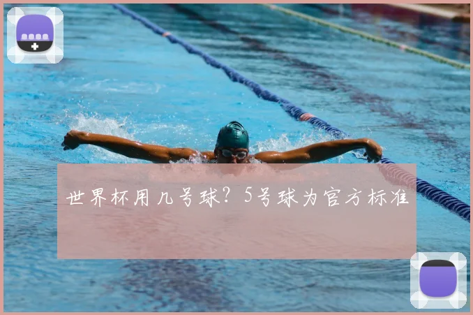 世界杯用几号球？5号球为官方标准