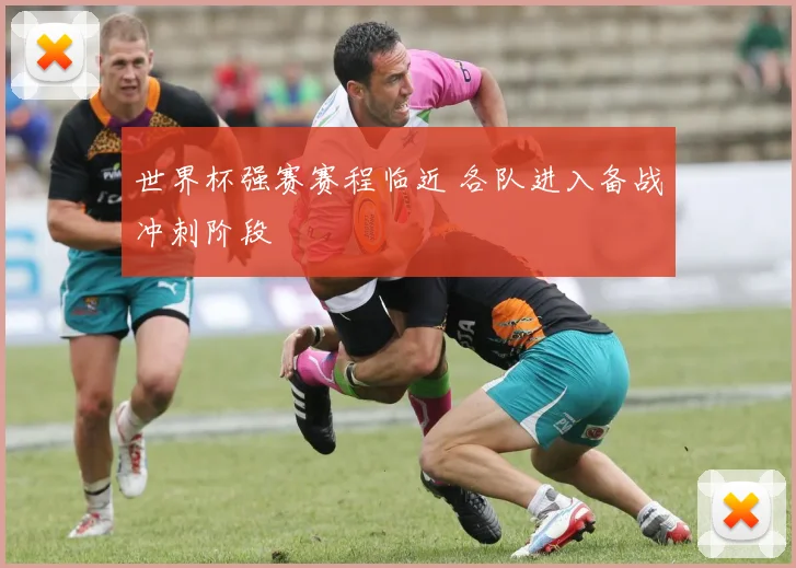世界杯强赛赛程临近 各队进入备战冲刺阶段