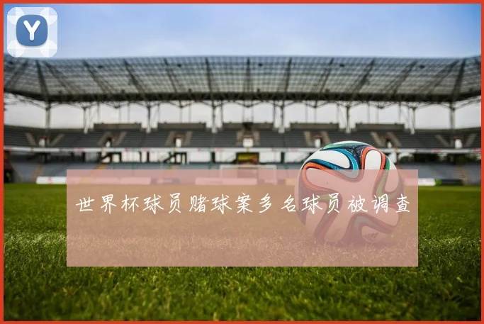 世界杯球员赌球案多名球员被调查