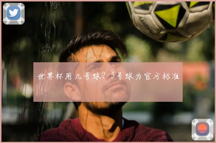 世界杯用几号球？5号球为官方标准